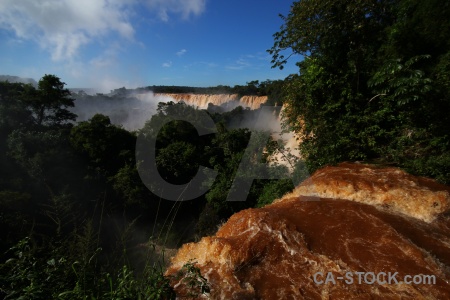 Tree south america argentina water iguazu river.