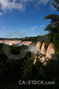 Tree south america waterfall iguazu river falls.