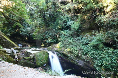 Tree south asia waterfall trek river.