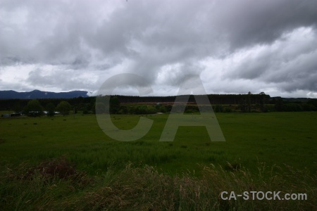 Tree south island landscape new zealand sky.