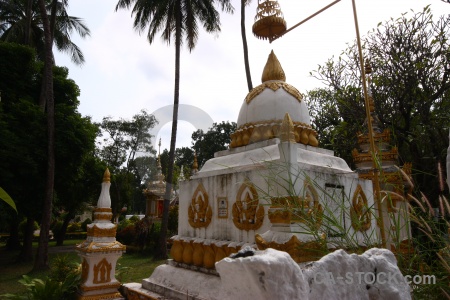 Tree southeast asia buddhism laos vientiane.