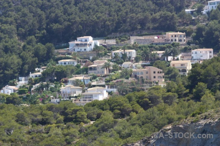 Tree spain green javea europe.