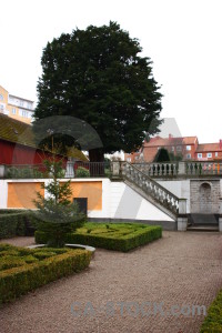 Tree stair white.