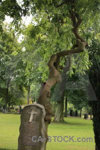 Tree statue single grave cemetery.