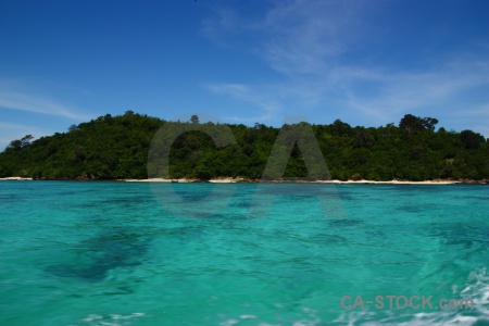 Tree tropical water sky sea.