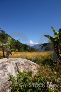 Trek sky machapuchare machhapuchchhre snowcap.