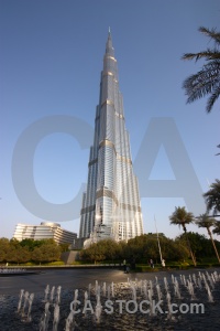 Uae tree dubai fountain middle east.