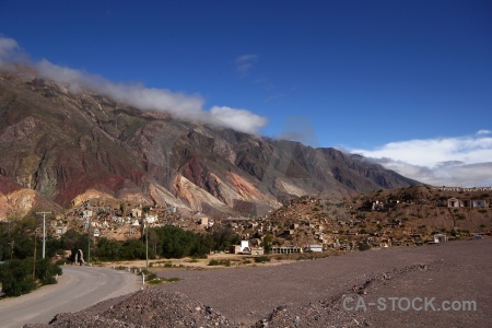 Unesco maimara quebrada de humahuaca rock tree.