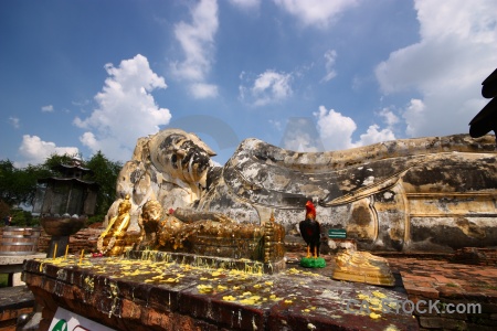 Unesco southeast asia tree wax brick.