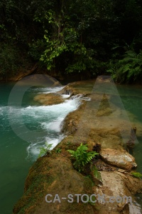 Vegetation river tree tad se rock.