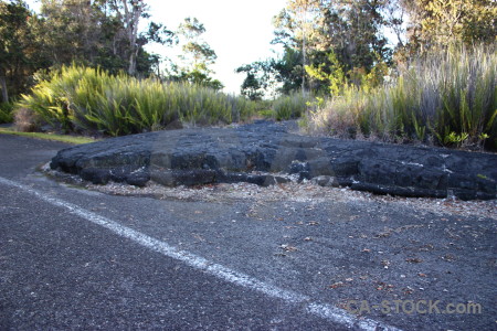 Volcanic lava green.