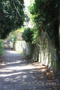 Wall stair path step green.