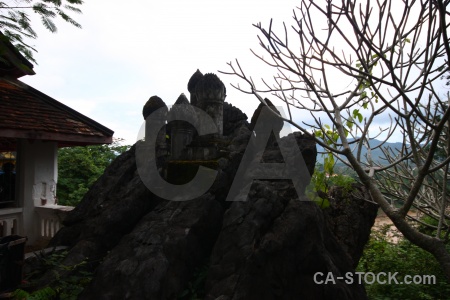 Wat prabang phoutthalawanh buddhist laos tree rock.