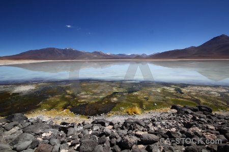 Water andes mountain algae plant.