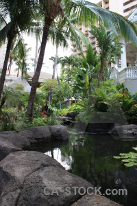 Water green pool.