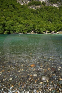 Water laguna del desierto tree patagonia argentina.