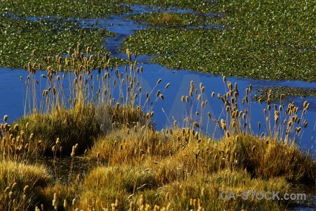 Water lake altitude chile south america.