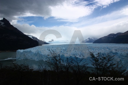 Water perito moreno lake argentino tree argentina.