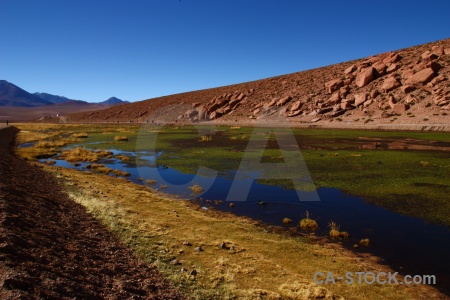 Water pond weed grass sky chile.