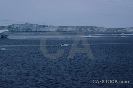 Water sea day 6 channel snow.