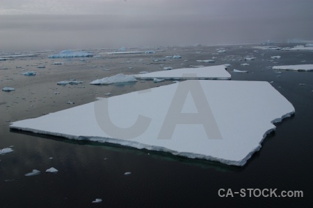 Water sea ice antarctica cruise crystal sound antarctic peninsula.