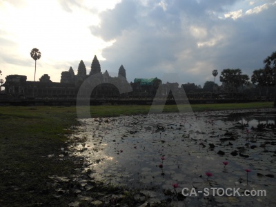 Water sky siem reap buddhism plant.