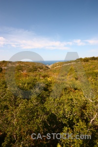 Water spain javea bush sky.