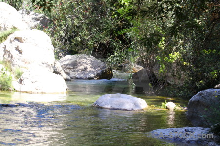 Water spain river green les fonts de lalgar.