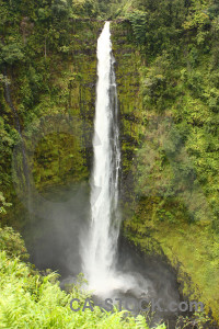 Water waterfall forest tree rainforest.