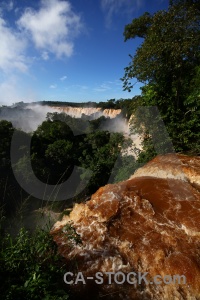 Waterfall tree argentina iguazu river south america.