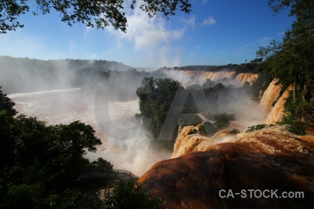 Waterfall tree argentina unesco iguacu falls.