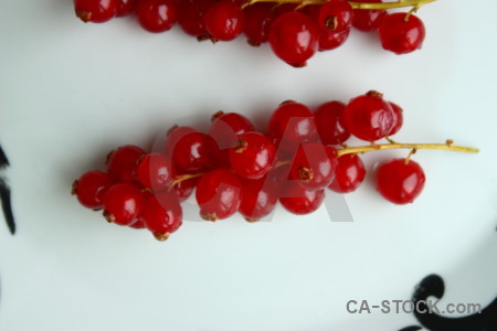 White berry red food fruit.