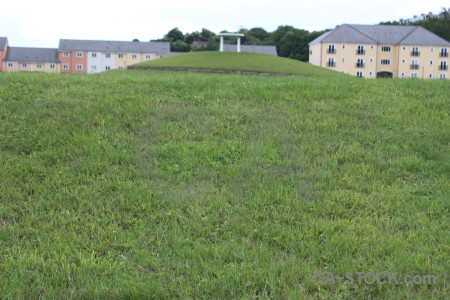 White field grass green.