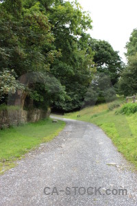 White green field path.