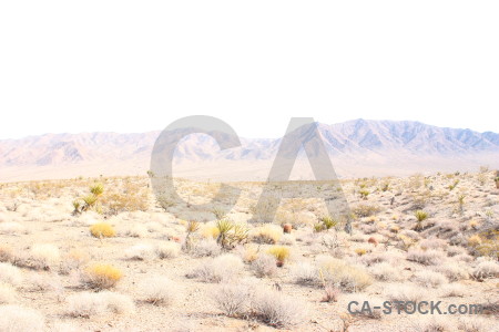 White landscape desert mountain.