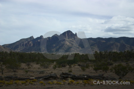 White mountain.