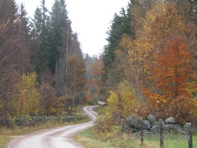 White path.