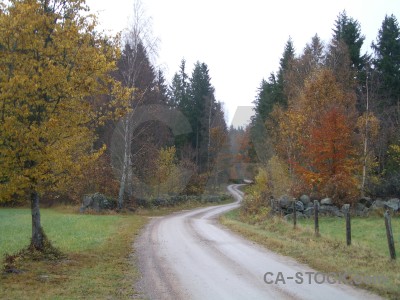White path green.