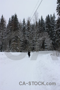 White winter landscape snow.