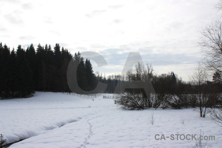 White winter snow landscape.