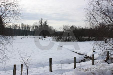 White winter snow landscape.