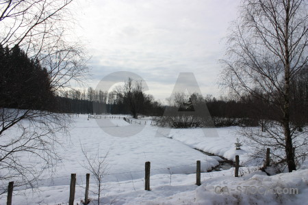 White winter snow landscape.