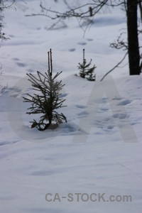 Winter gray snow.