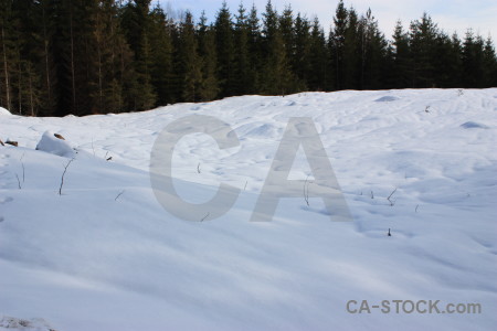 Winter snow landscape.