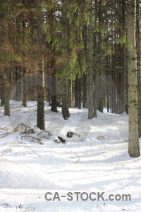 Winter white snow.