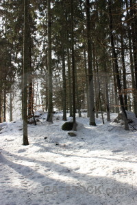 Winter white snow.