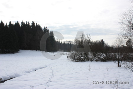 Winter white snow landscape.