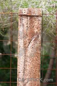 Wood post green texture.