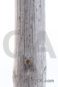 Wood post white texture.