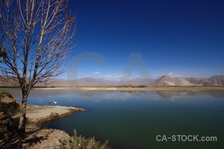 Yarlung tsangpo himalayan tibet tree arid.